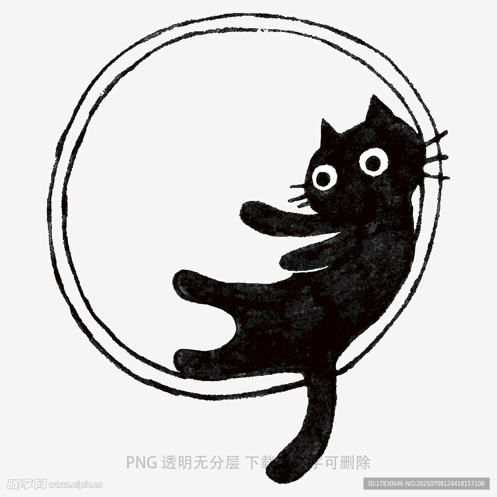 黑猫躺卧在圆环中