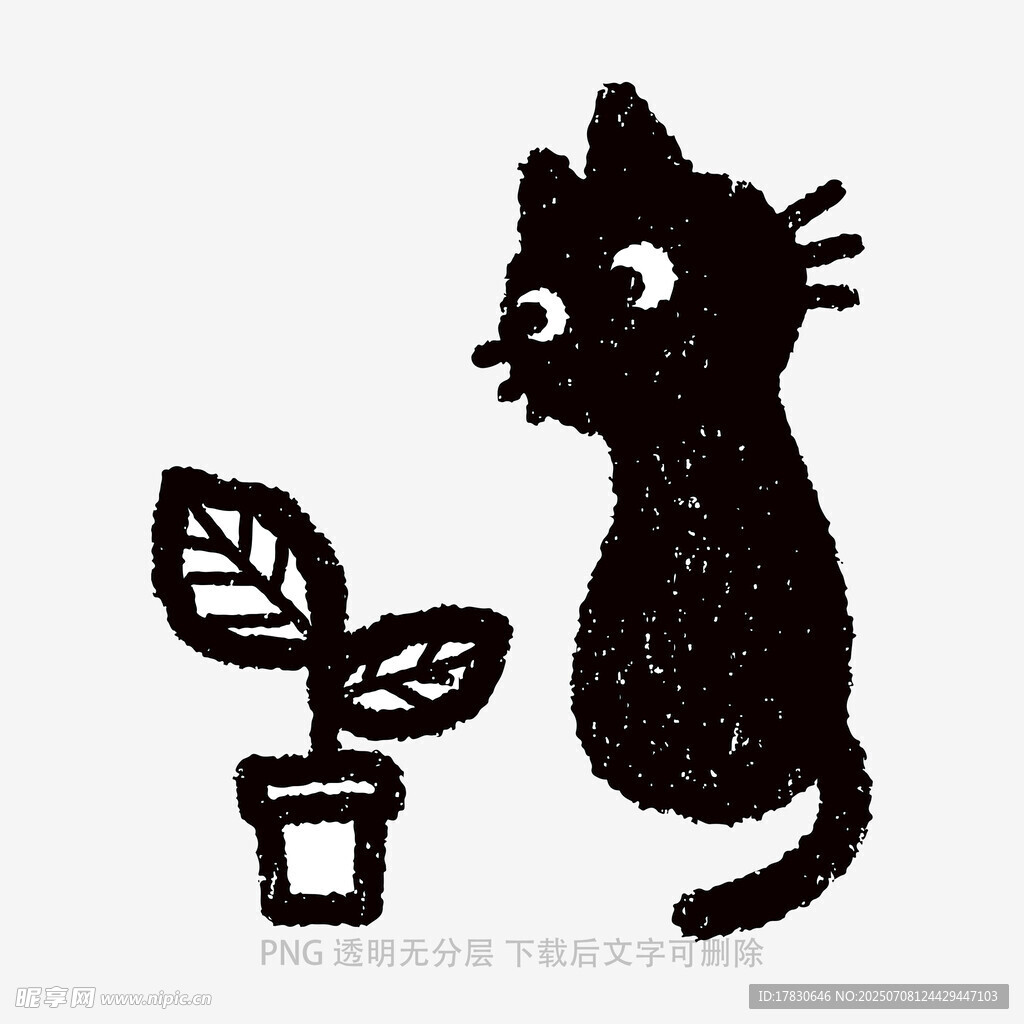 黑猫与绿植的可爱瞬间
