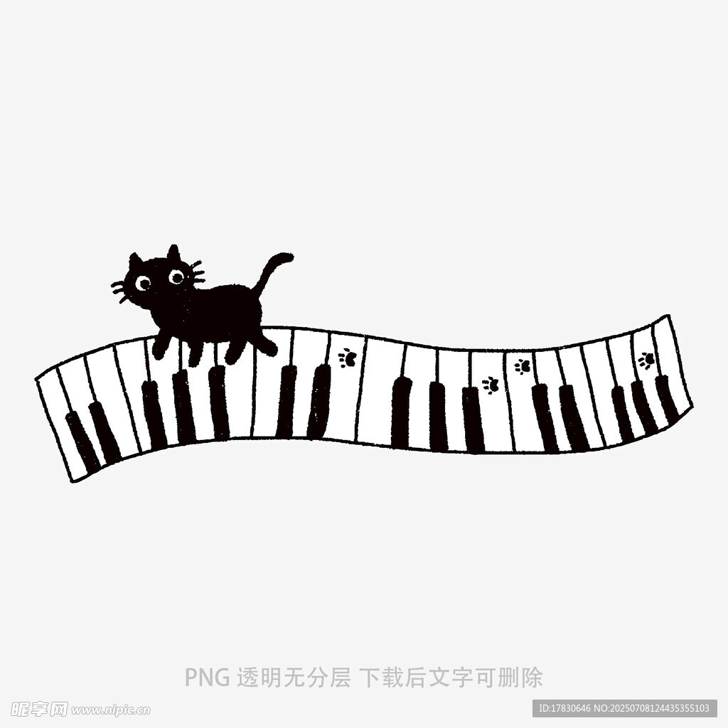 猫咪漫步钢琴键