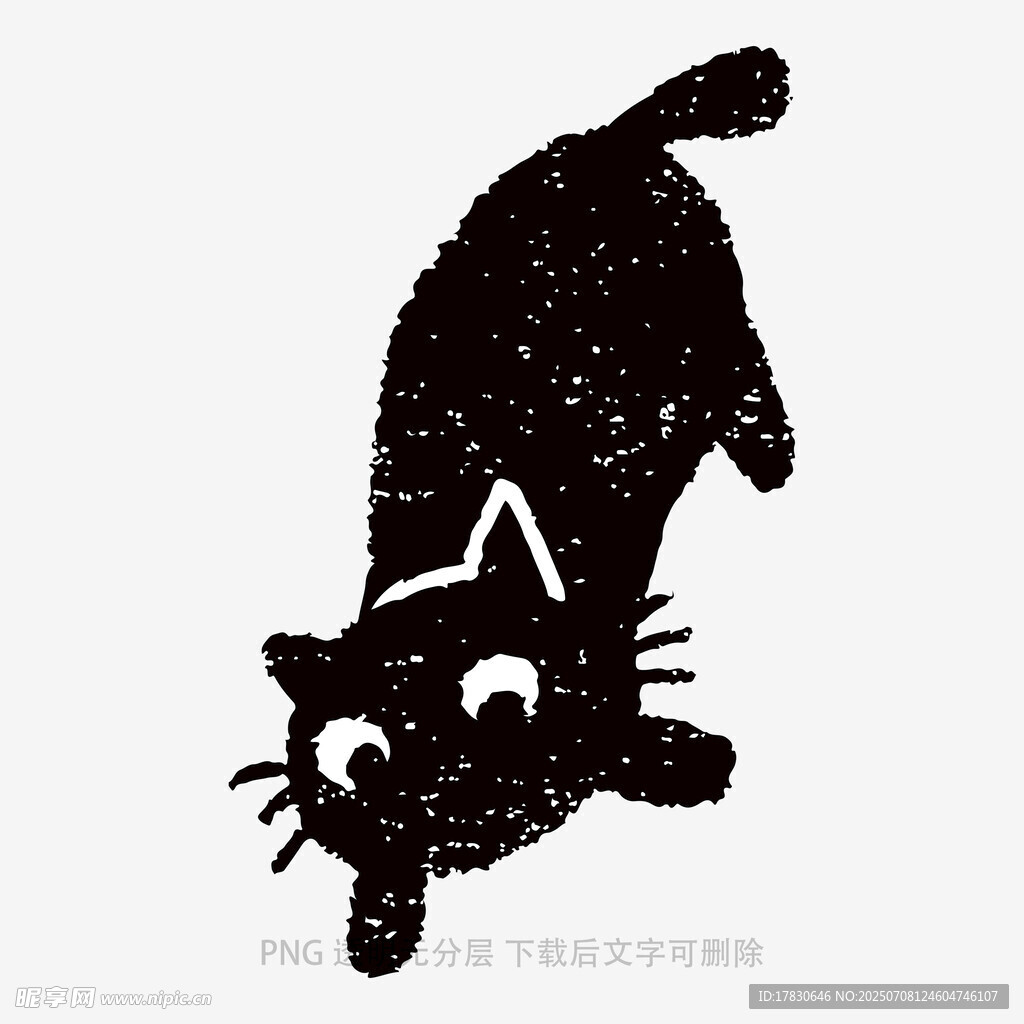 猫咪