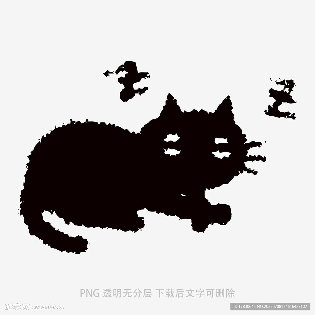 趴着的黑猫