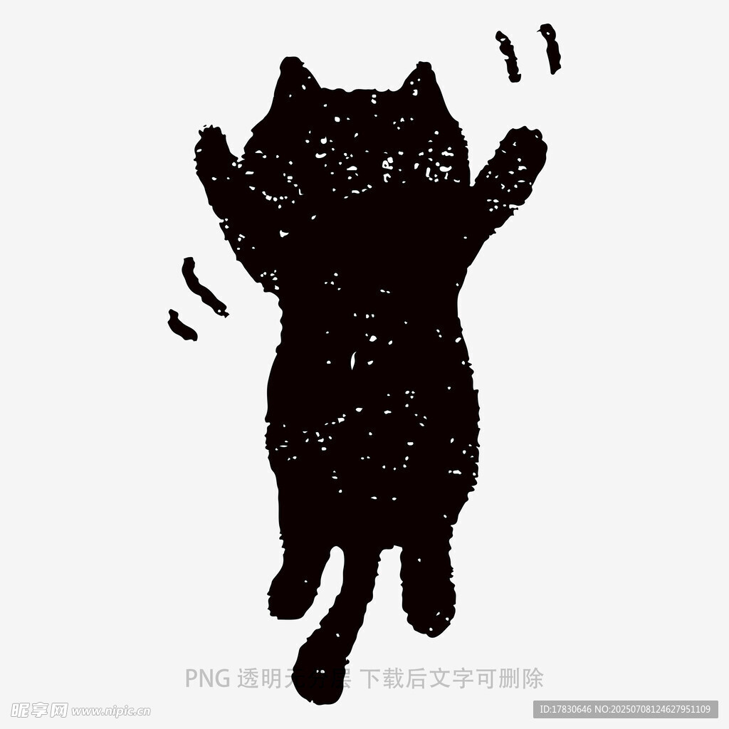 猫咪