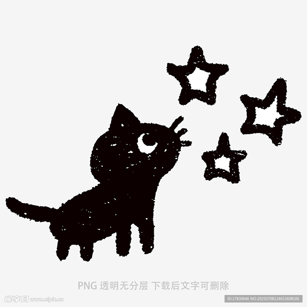 黑猫追星星