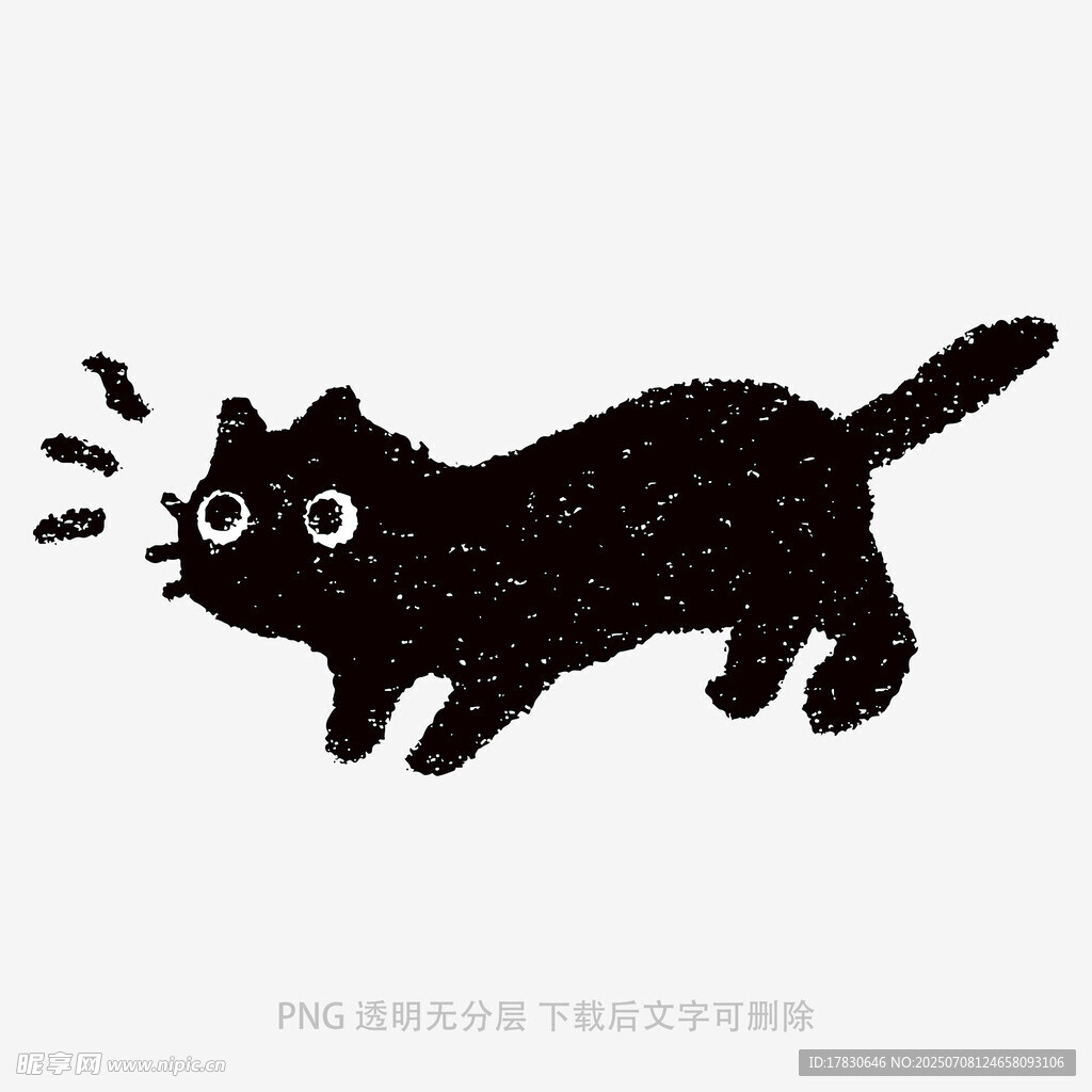 猫咪