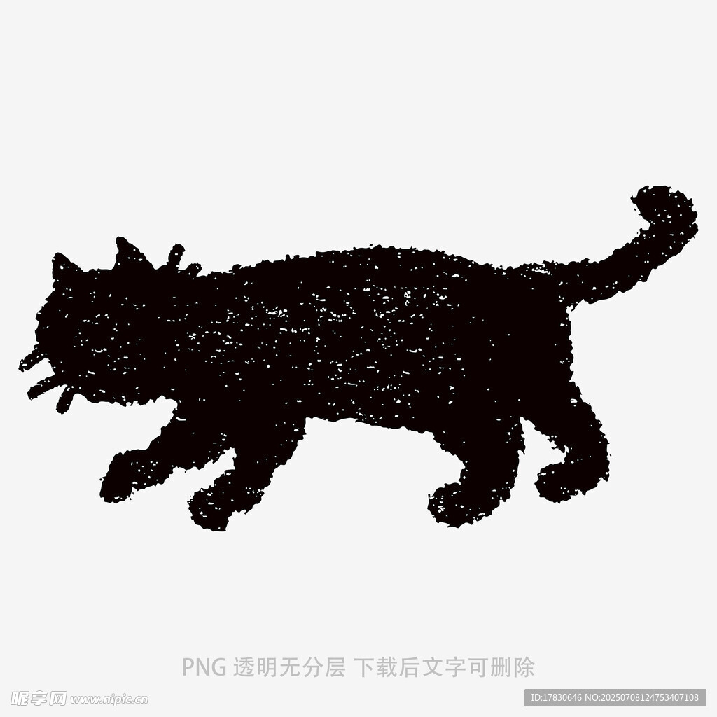 猫咪