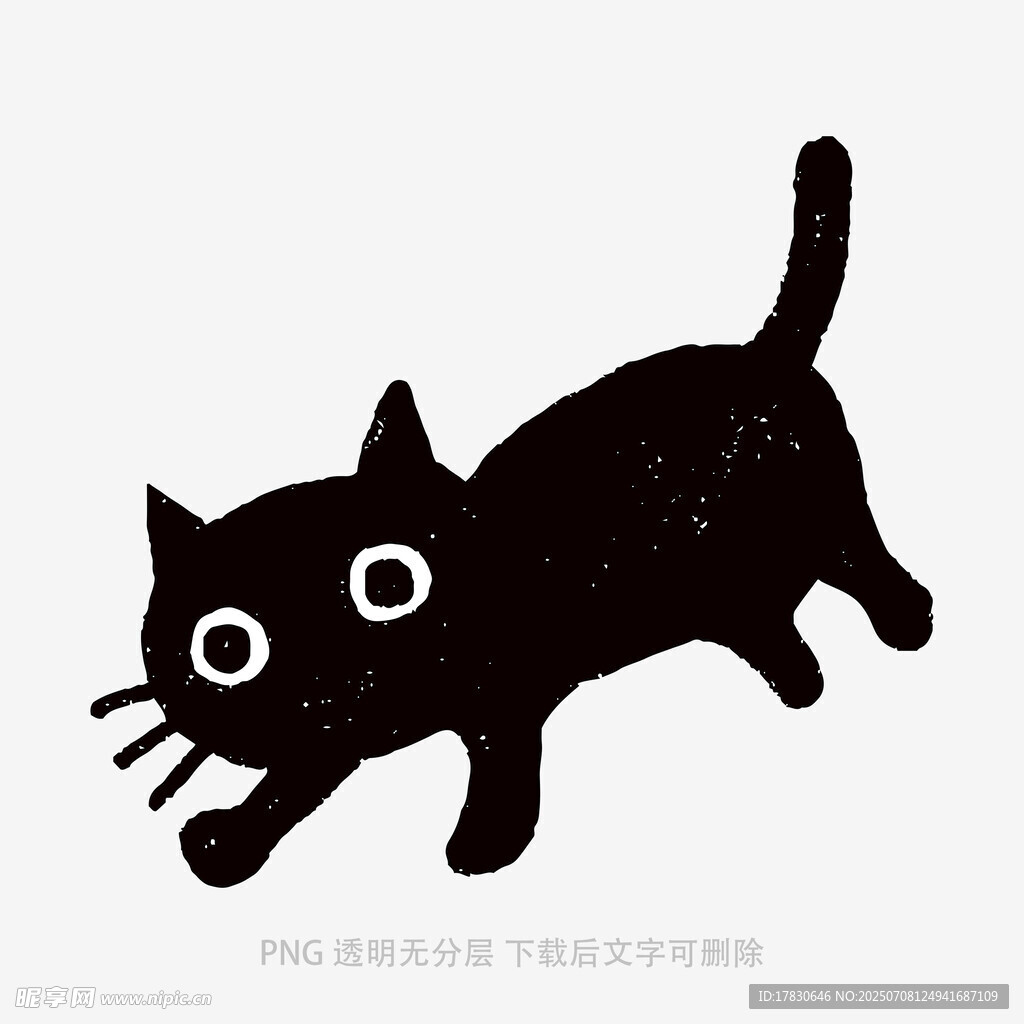 奔跑的黑猫
