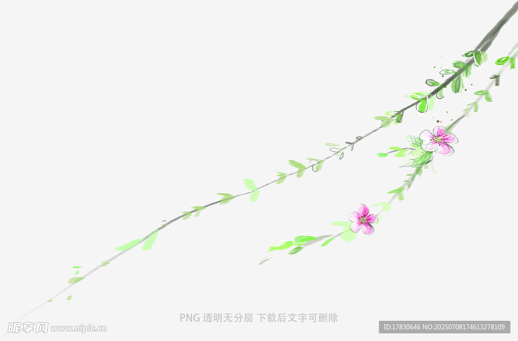 嫩绿枝蔓绽粉花