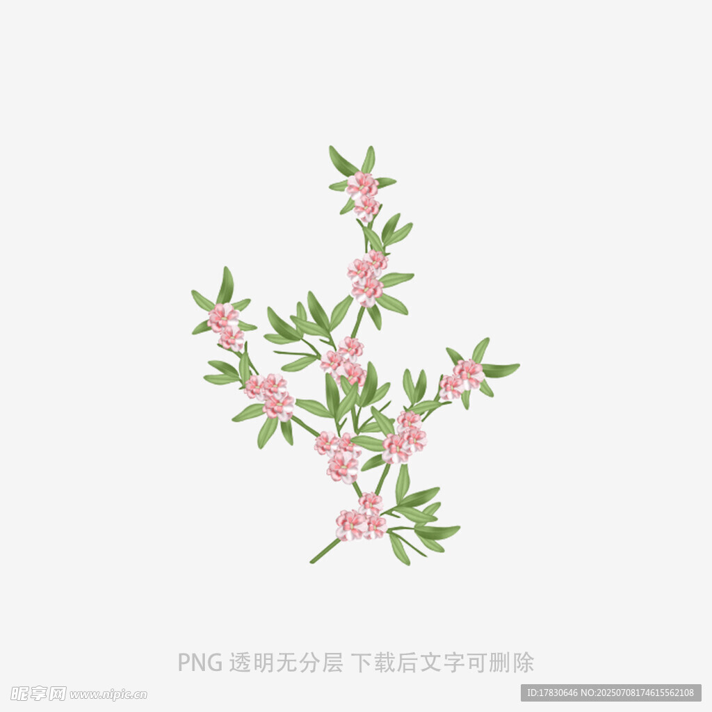 手绘粉色花枝插画