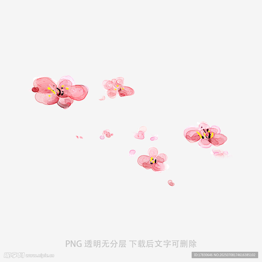 飘落的粉色花瓣