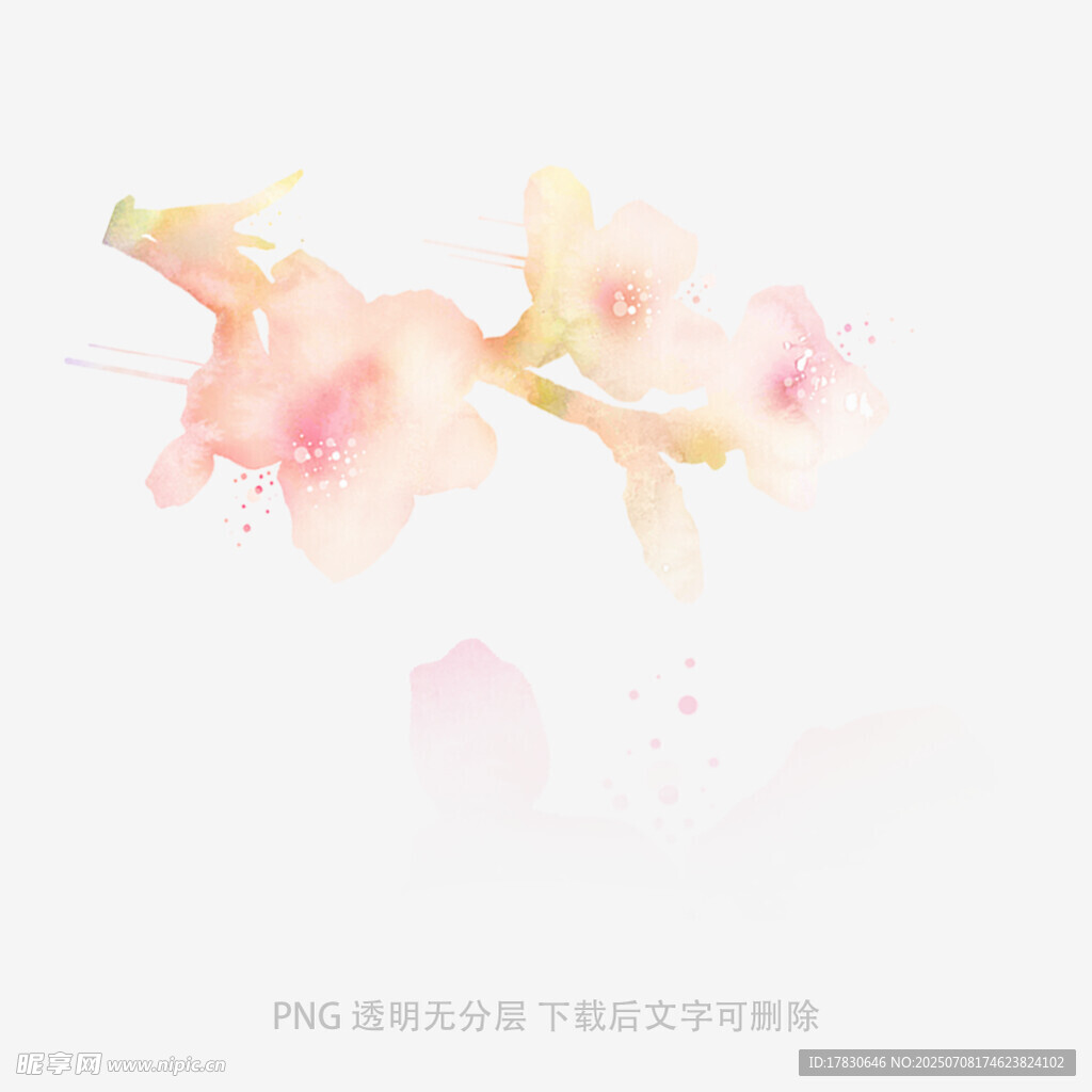 水彩绘就的柔美粉色花枝