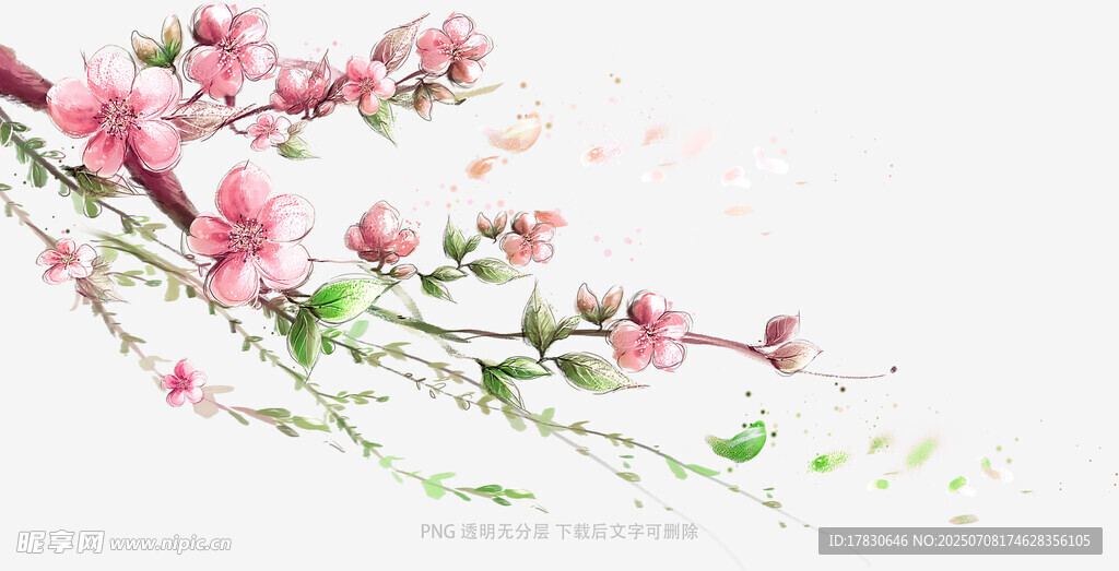 水墨桃花枝头绽放