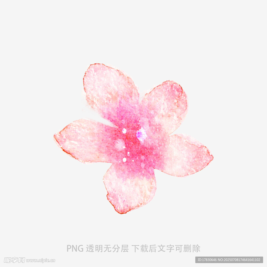 粉色水彩花朵插画