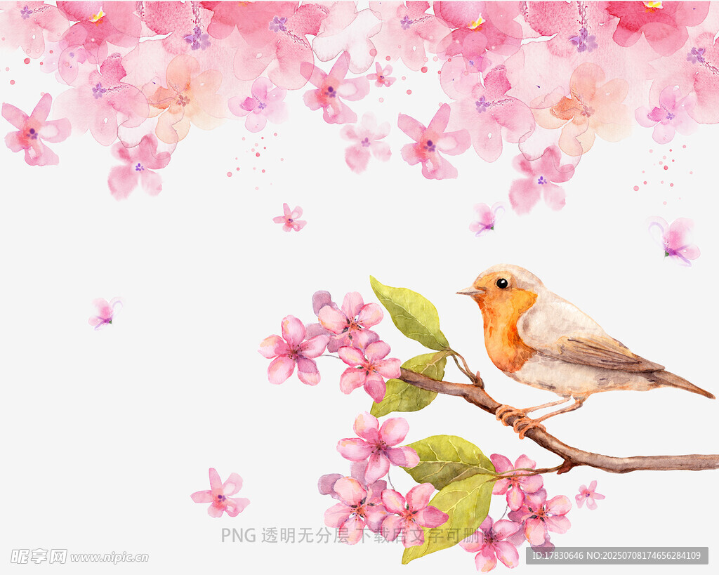 樱花枝上的可爱小鸟