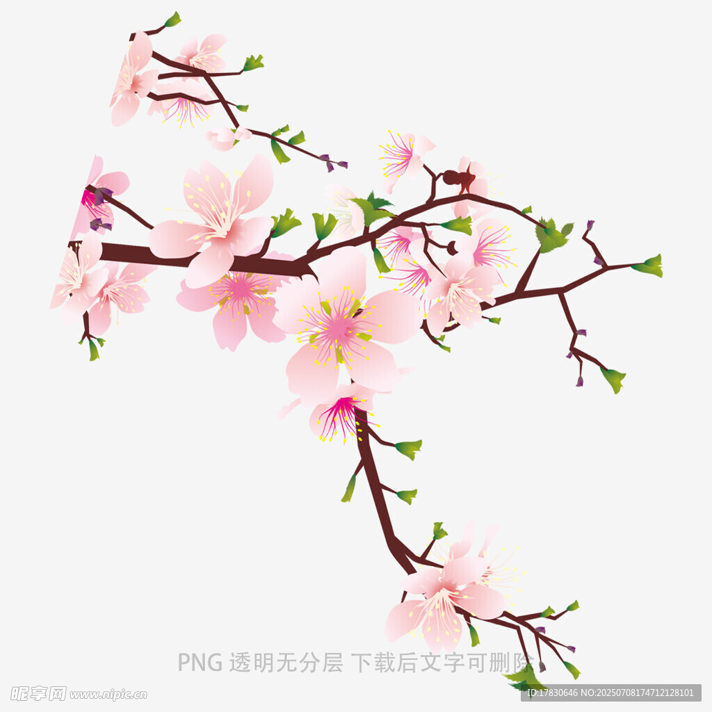 粉色桃花枝