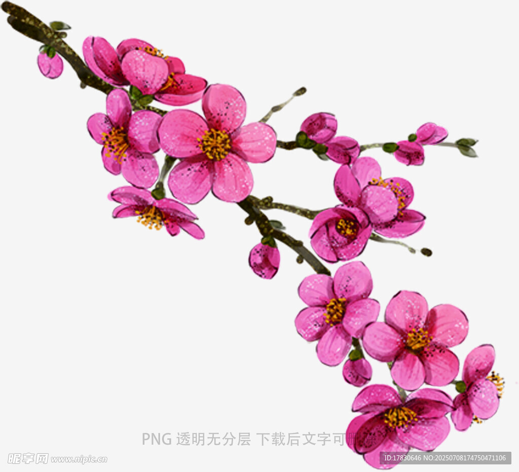 娇艳绽放的粉色桃花枝
