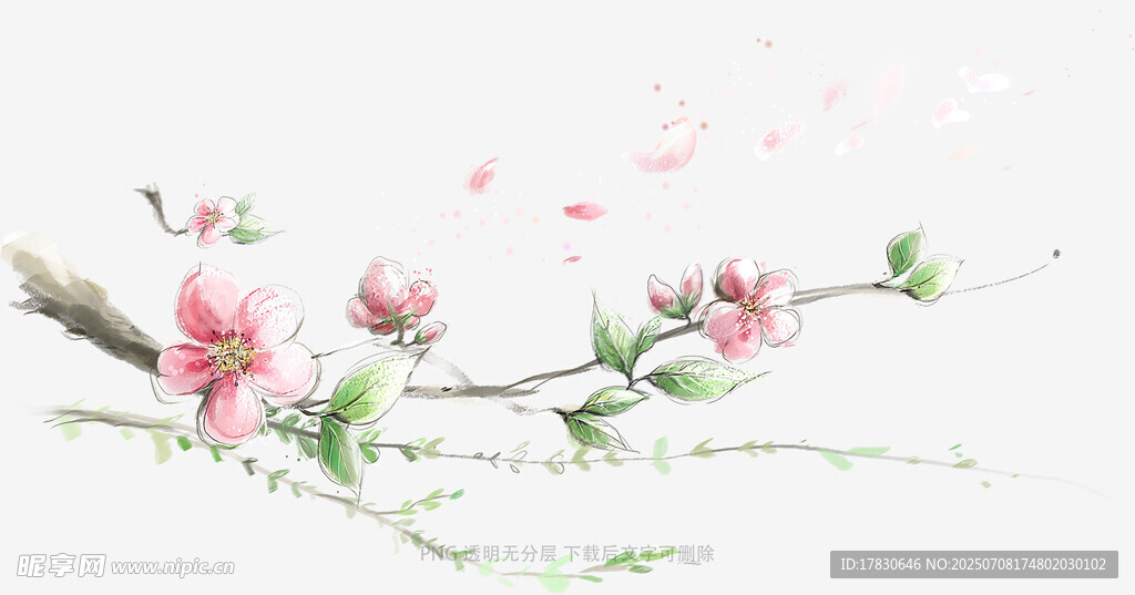 水墨桃花枝头春意浓