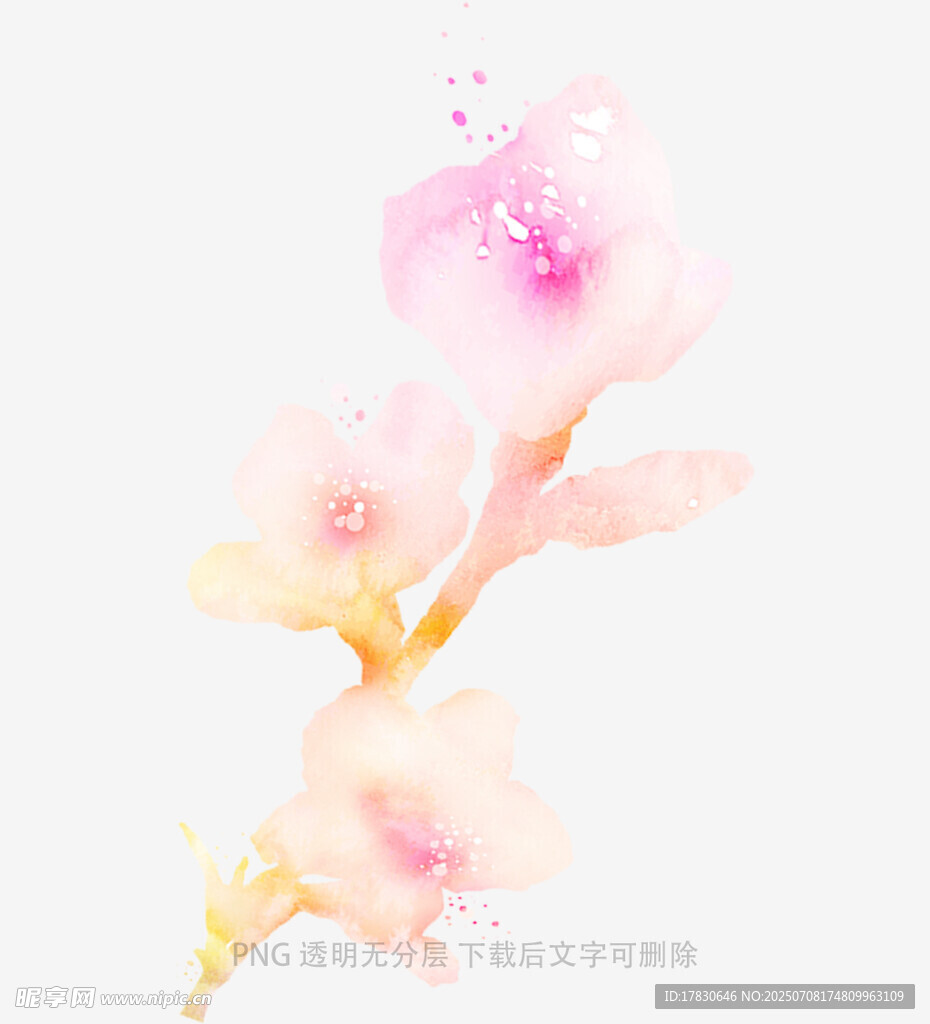 粉色梦幻花朵特写
