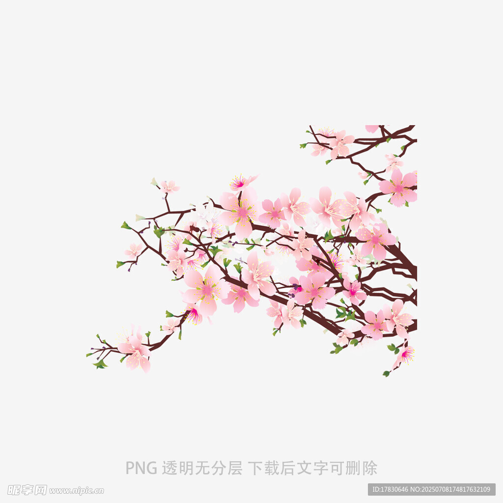 粉色桃花枝