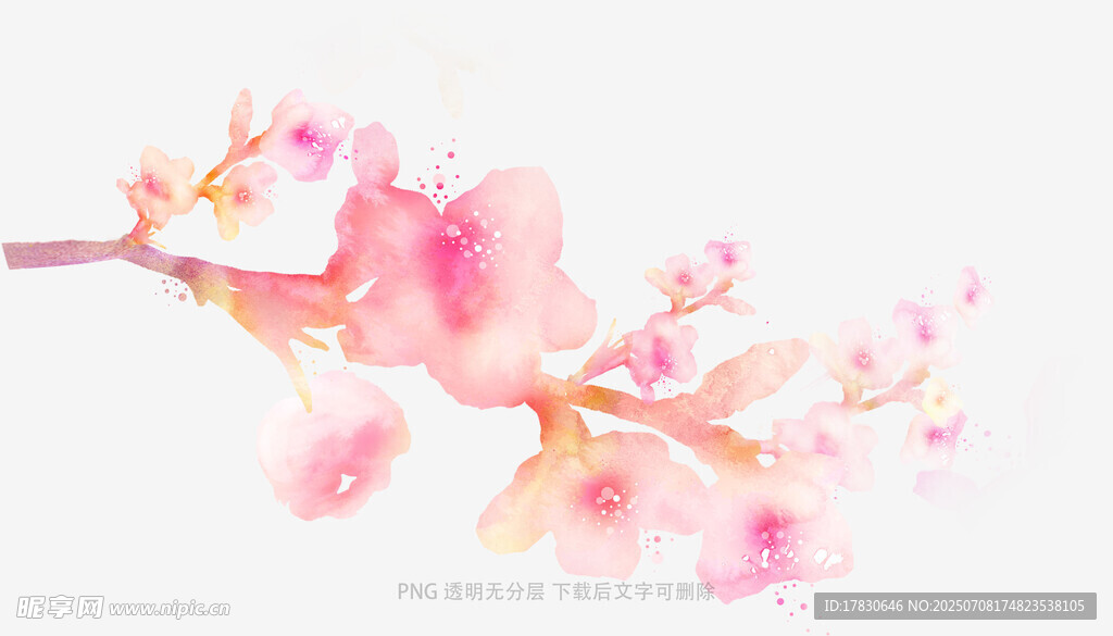 粉色水彩风桃花枝