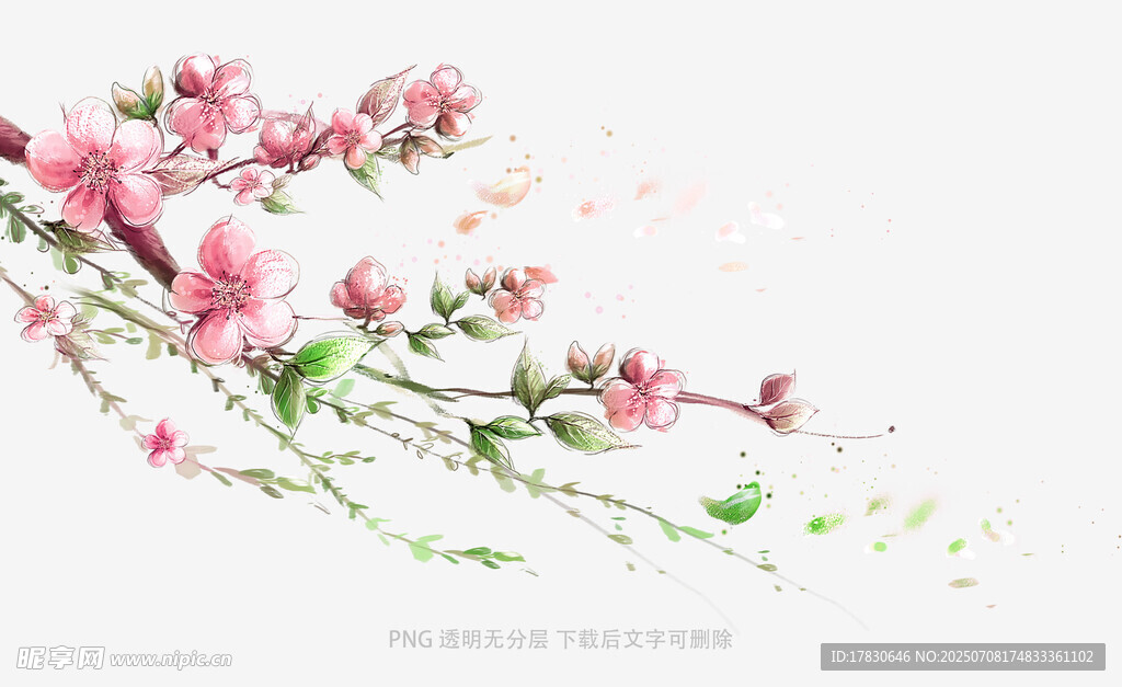 枝头绽放的粉嫩桃花