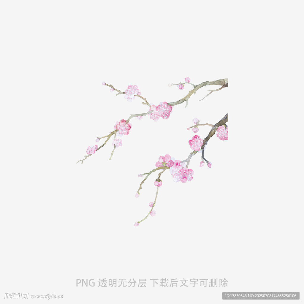 水墨风粉色桃花枝插画