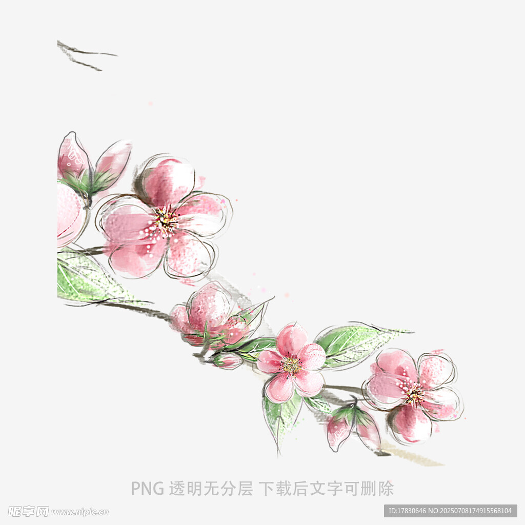 手绘粉色花枝