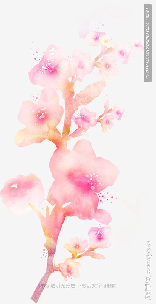 粉色烂漫桃花枝