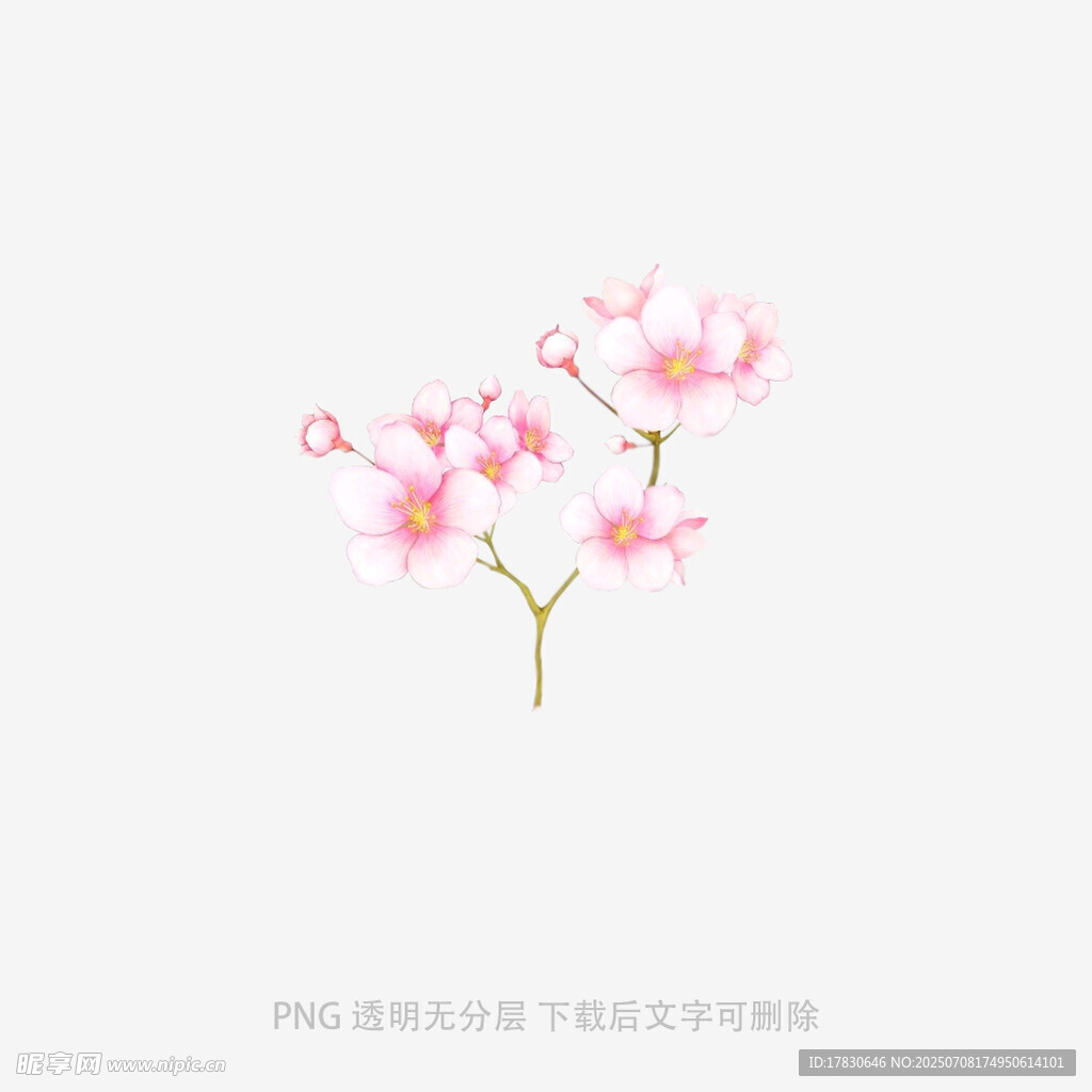 粉色花朵插画
