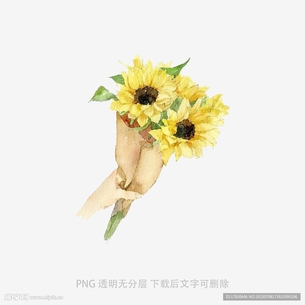 手捧向日葵花束插画