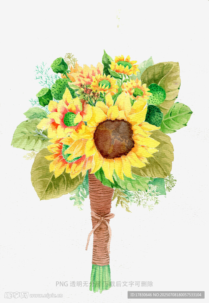 手绘向日葵花束插画
