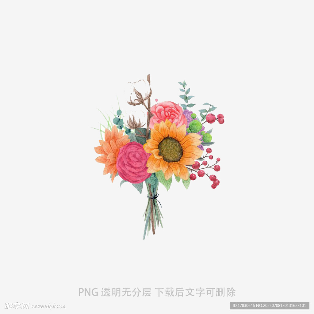 多彩花卉插画
