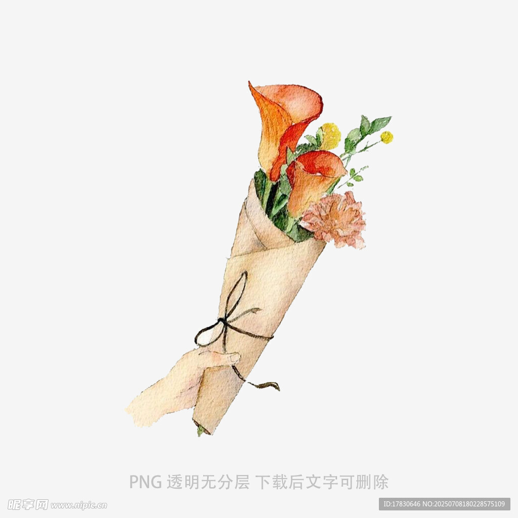 手绘花束插画
