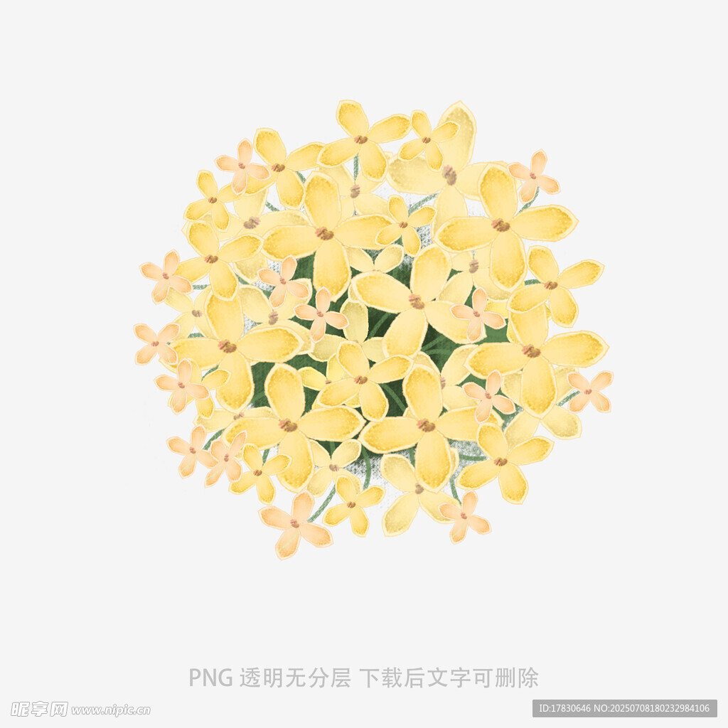 黄色花朵簇拥的美丽图案