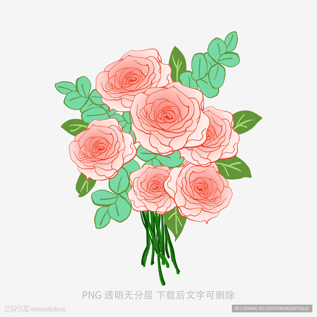手绘粉色玫瑰花束插画
