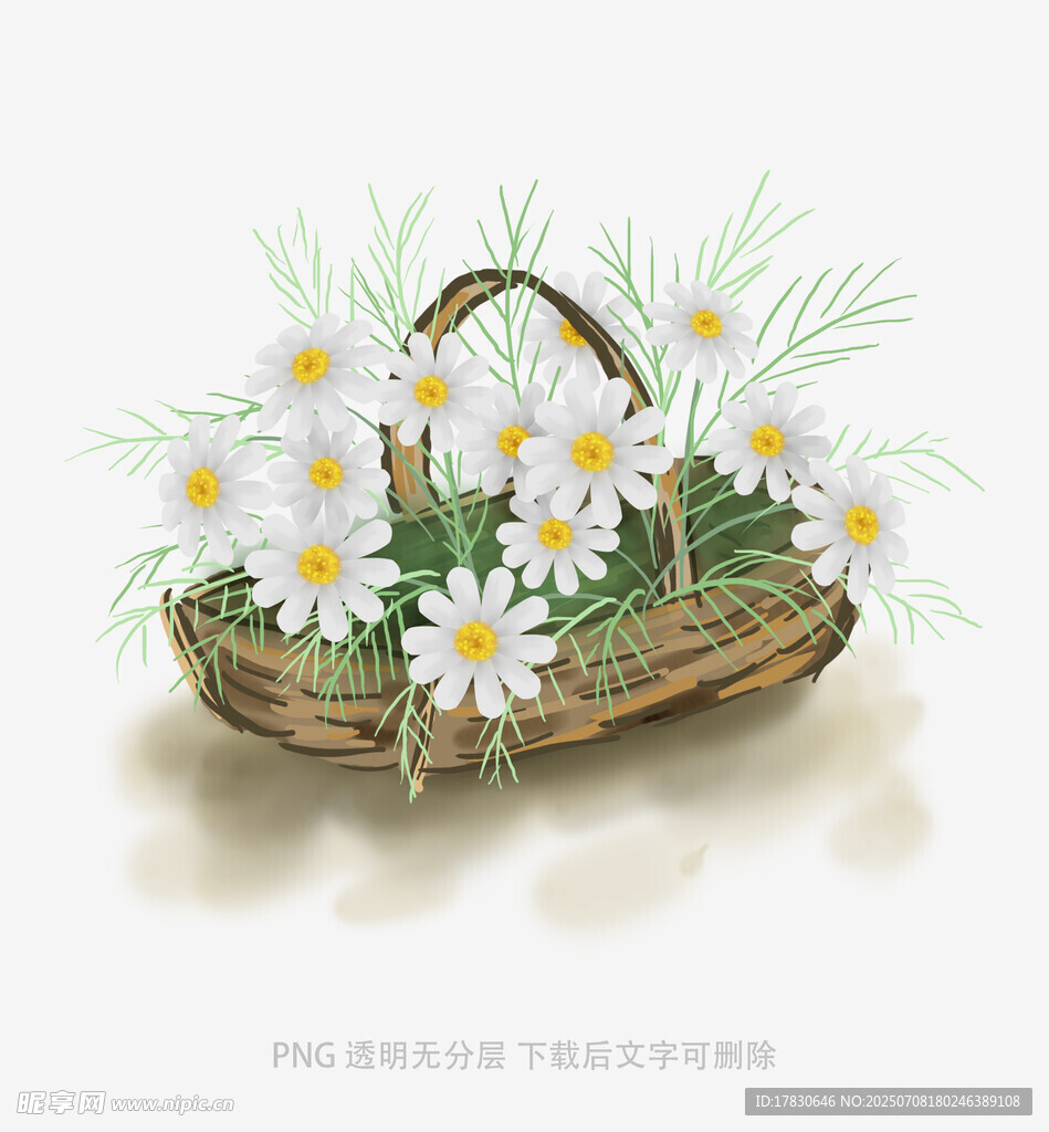 草篮盛放清新小雏菊