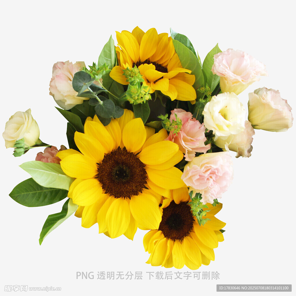 向日葵与多色花卉组合