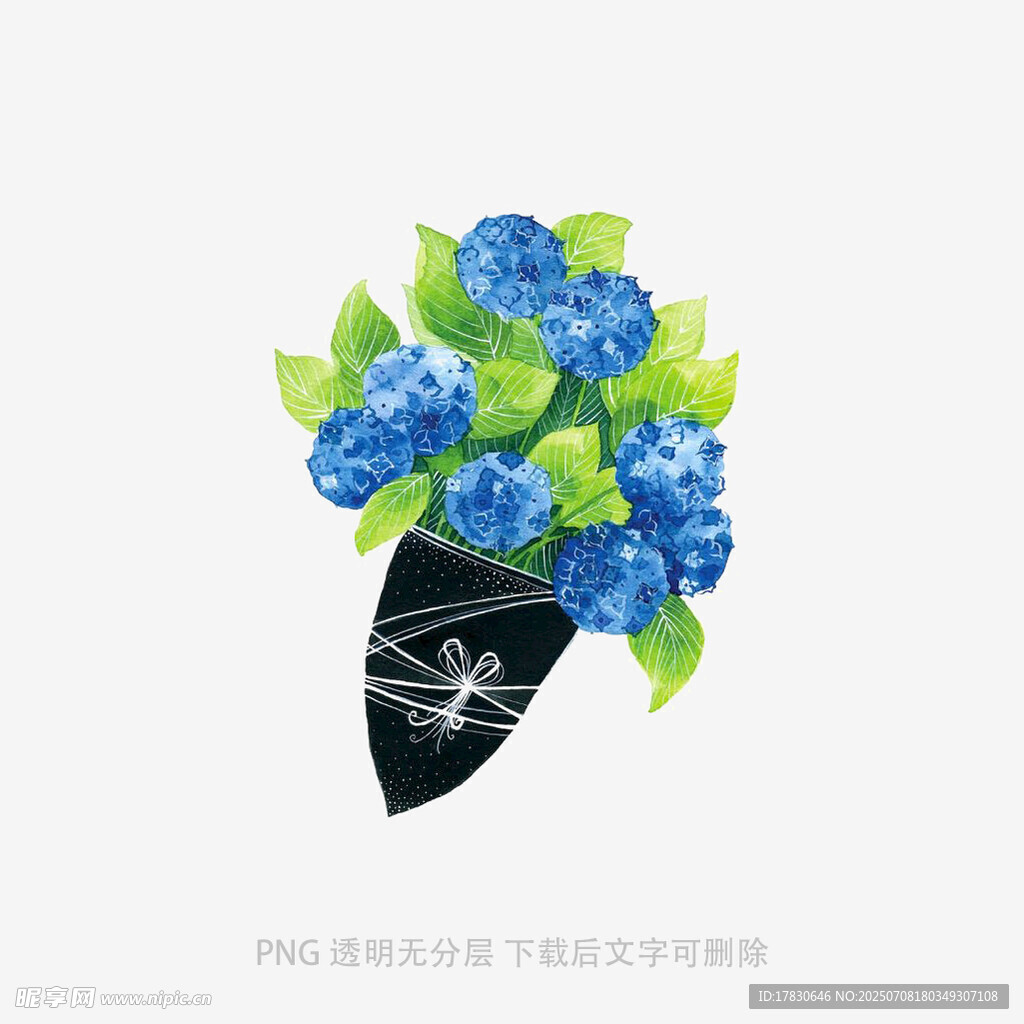 蓝色绣球花插画