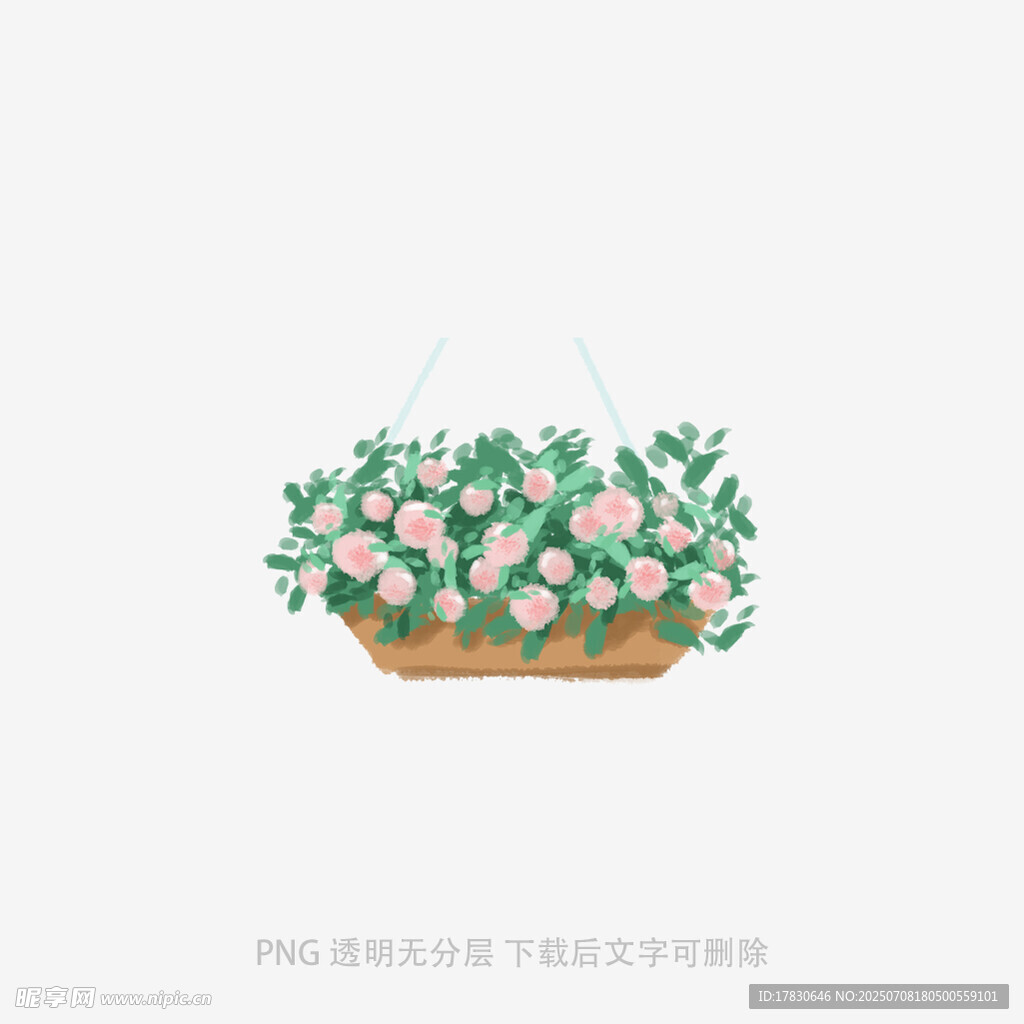 悬挂的花卉盆栽插画