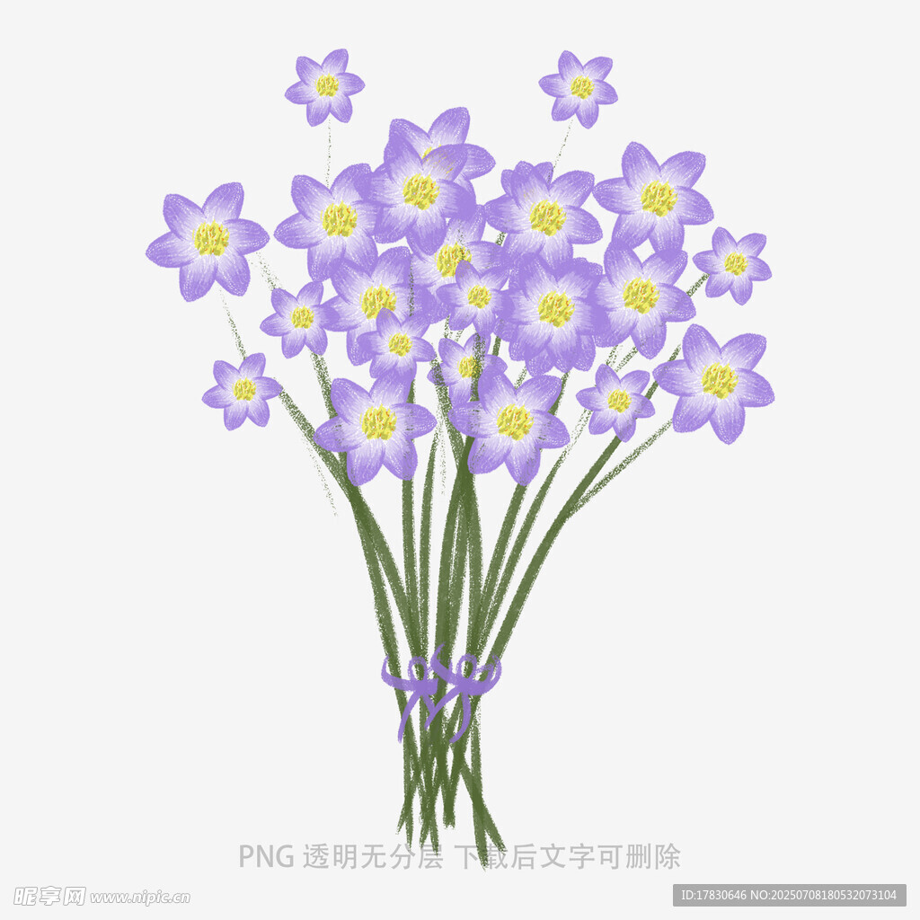 紫色小花束插画