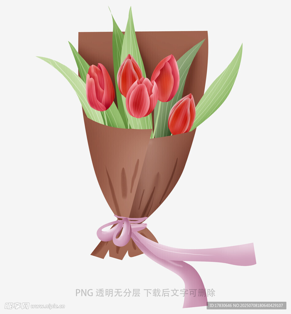 红郁金香花束插画
