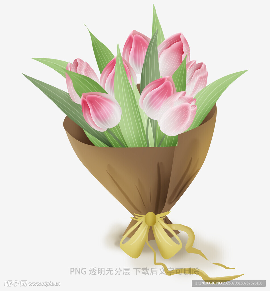 粉色郁金香花束插画
