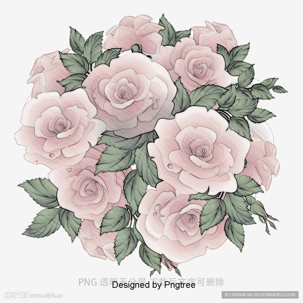 粉色玫瑰花束插画