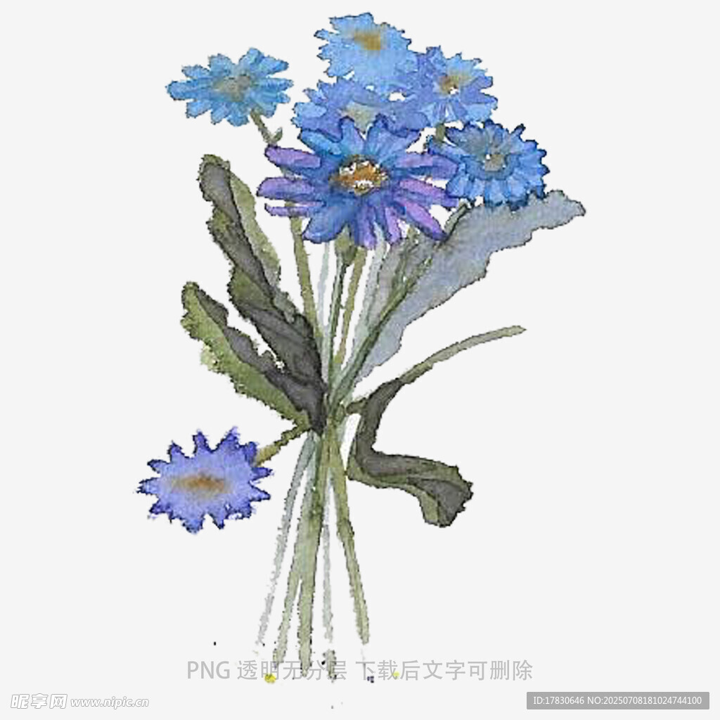蓝色花朵插画