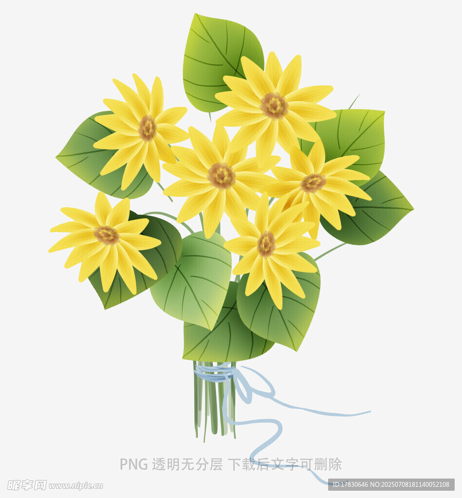 黄色花朵绿叶花束插画