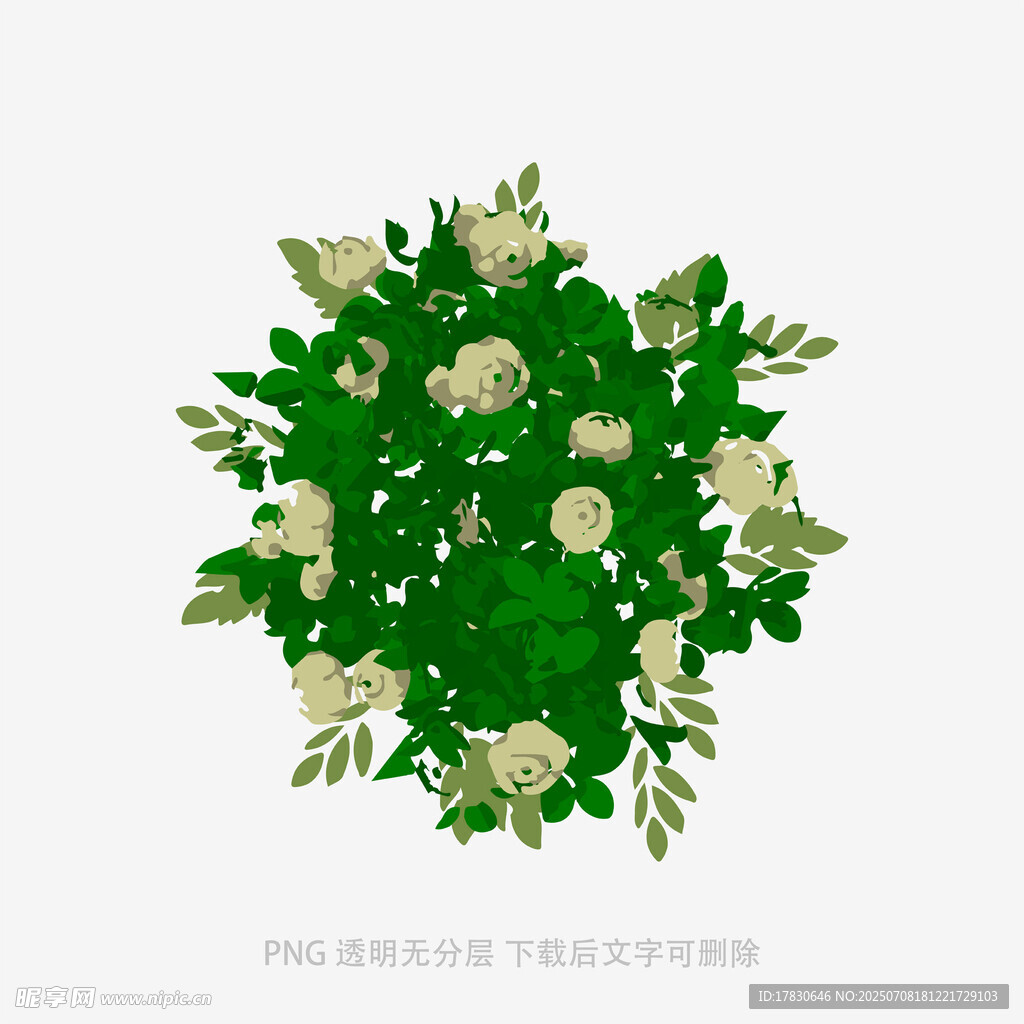 圆形白色花卉绿植组合