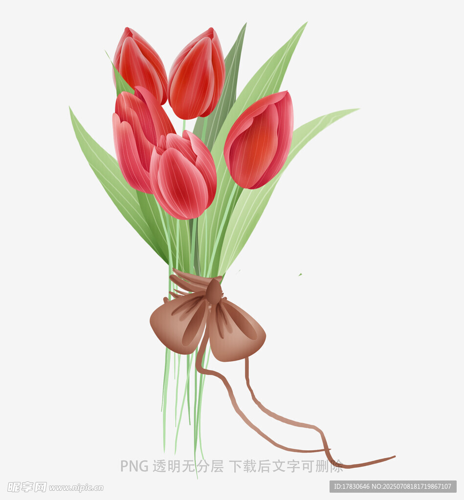 手绘红郁金香花束