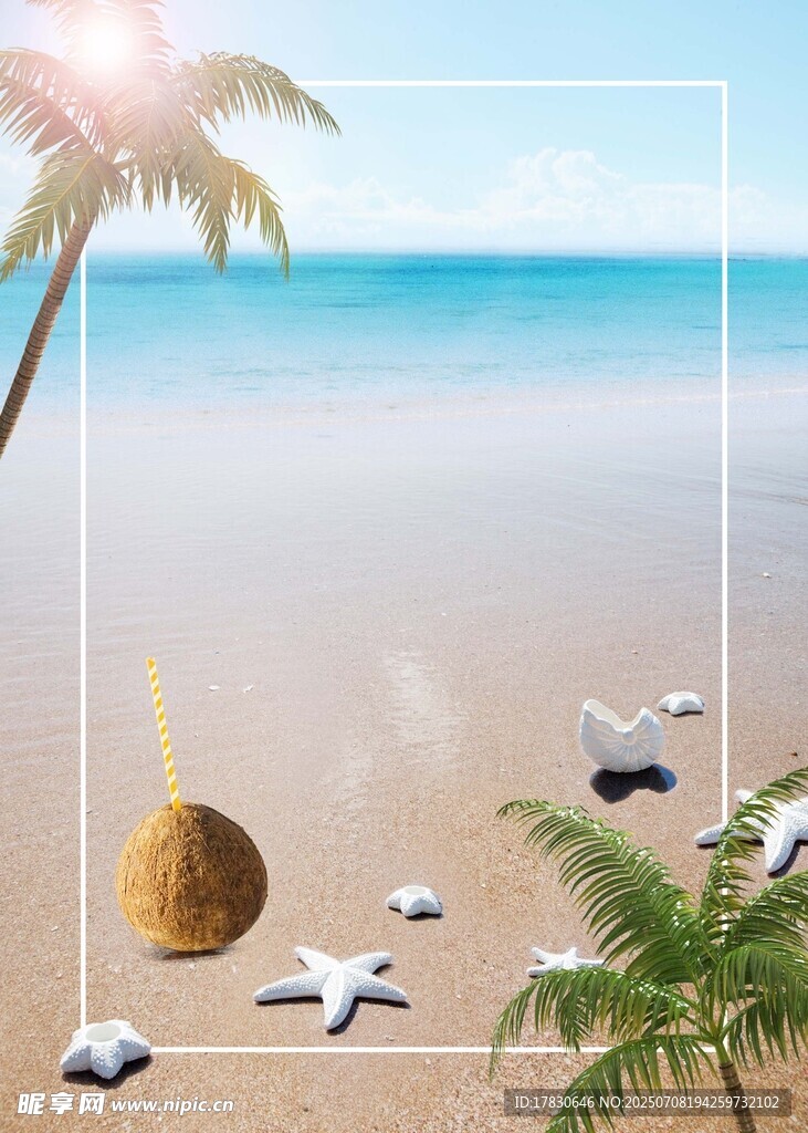 夏日海滩椰影海星美景