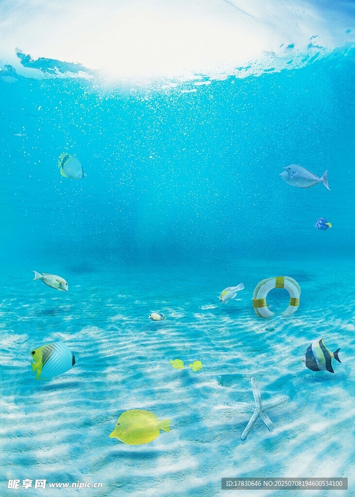 海底畅游的多彩热带鱼