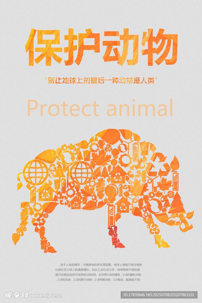 保护动物宣传图