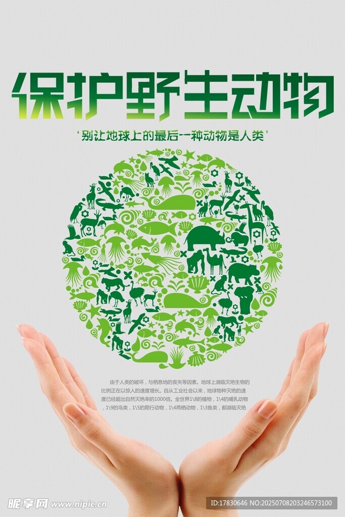双手守护野生动物 